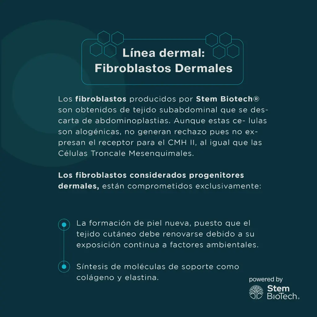 Captura de pantalla 2025-09-02 a la(s) 1.56.45 p.m..webp