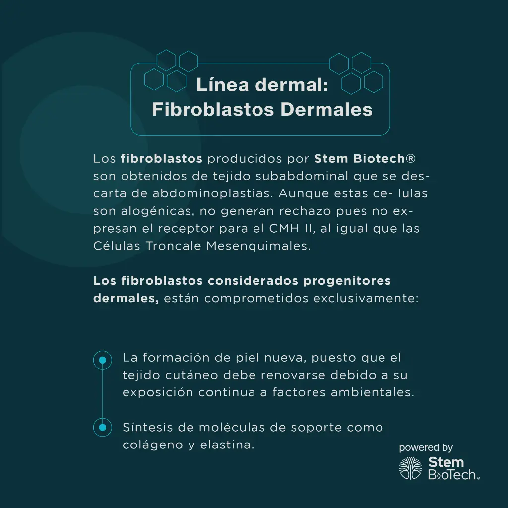 1x1 catalogo_exovida-02.webp